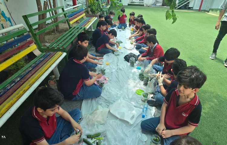 علوم - تهیه خیارشور 6