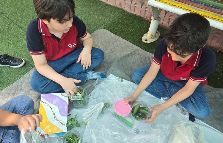 علوم - تهیه خیارشور 7