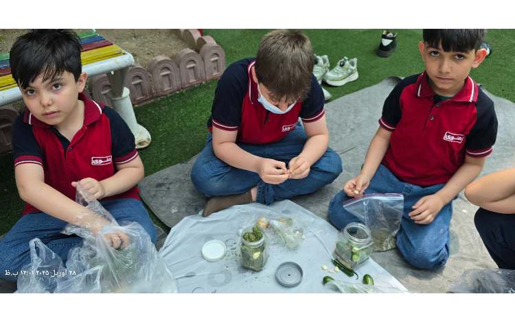 علوم - تهیه خیارشور 8