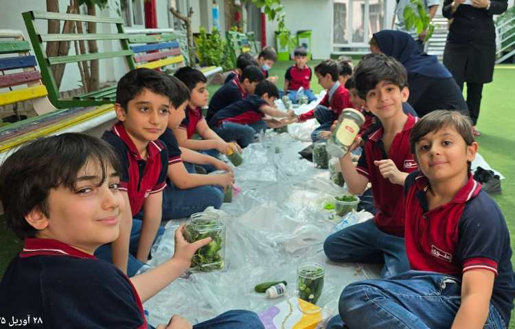 علوم - تهیه خیارشور 9