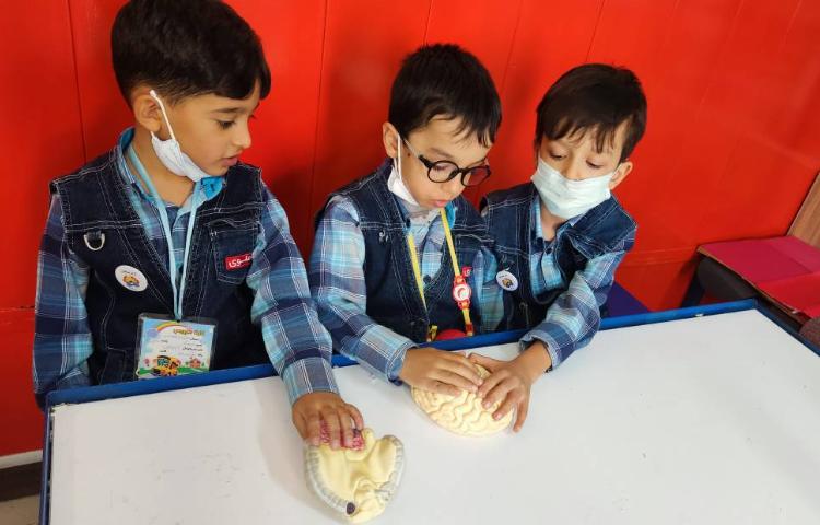 :علوم، توضیح آناتومی بدن با ماکت 2