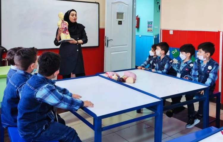 :علوم، توضیح آناتومی بدن با ماکت 3