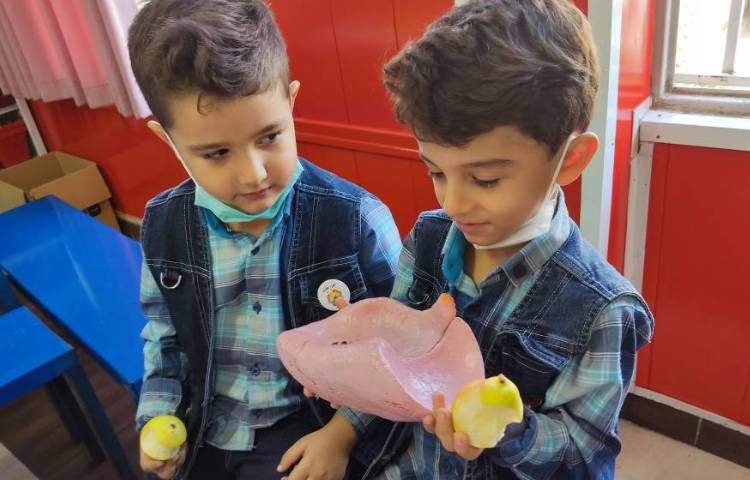 :علوم، توضیح آناتومی بدن با ماکت 4