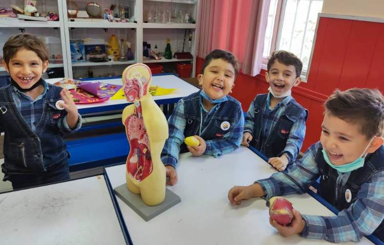 :علوم، توضیح آناتومی بدن با ماکت 5