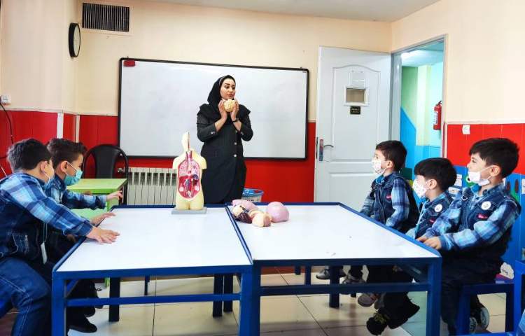 :علوم، توضیح آناتومی بدن با ماکت 6