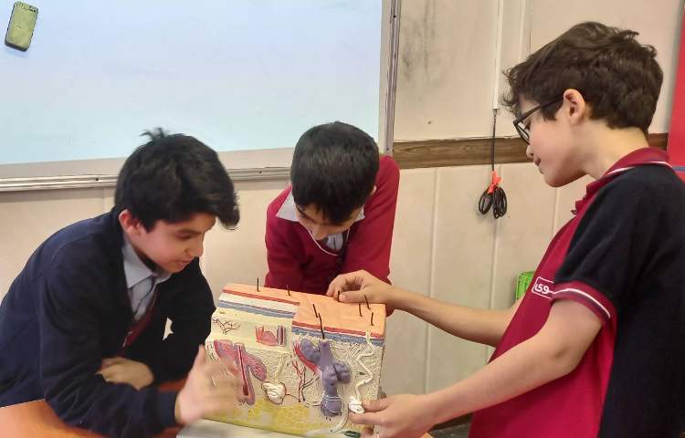 علوم - حس بویایی و حس لامسه 1