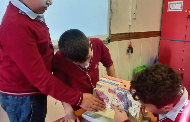 علوم - حس بویایی و حس لامسه 3