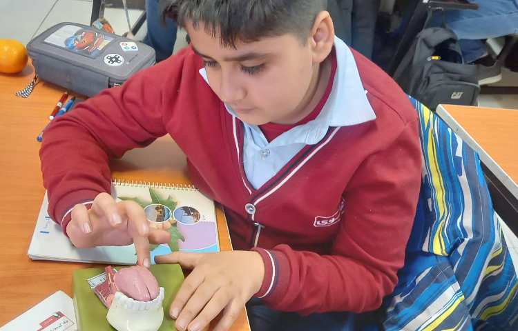 علوم - حس بویایی و حس لامسه 4