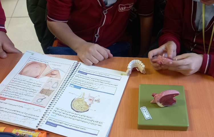 علوم - حس بویایی و حس لامسه 5