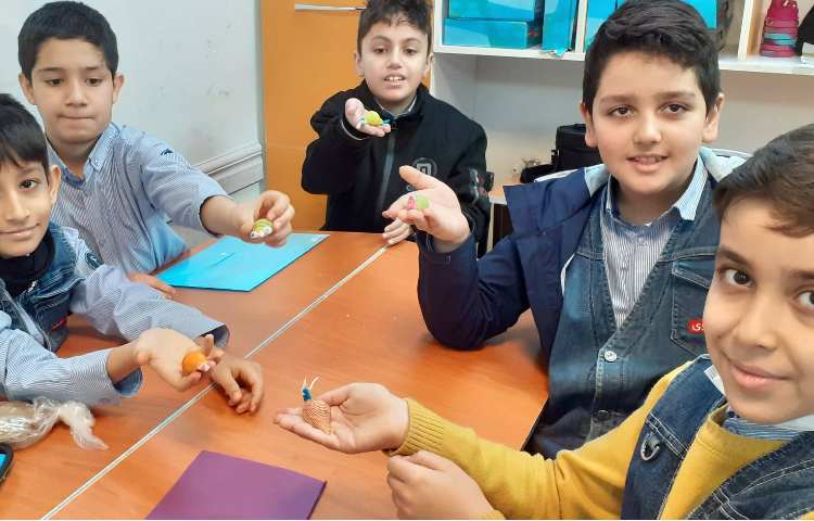 علوم -حلزون 1