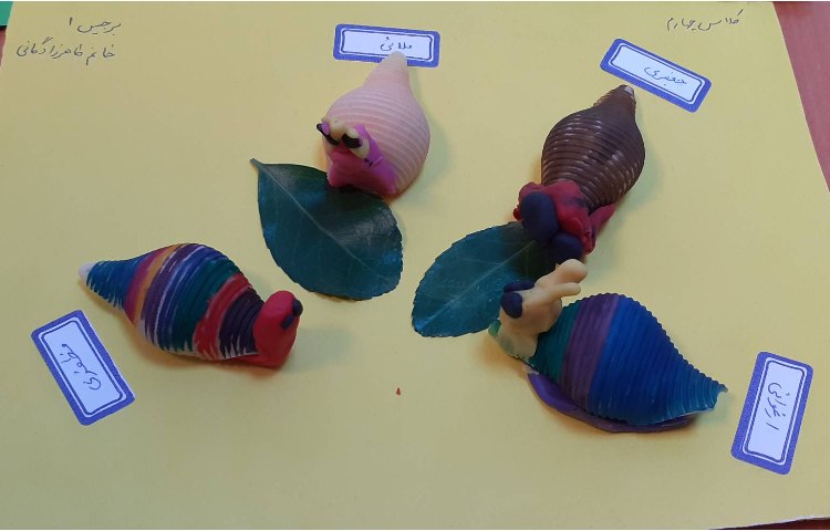 علوم -حلزون