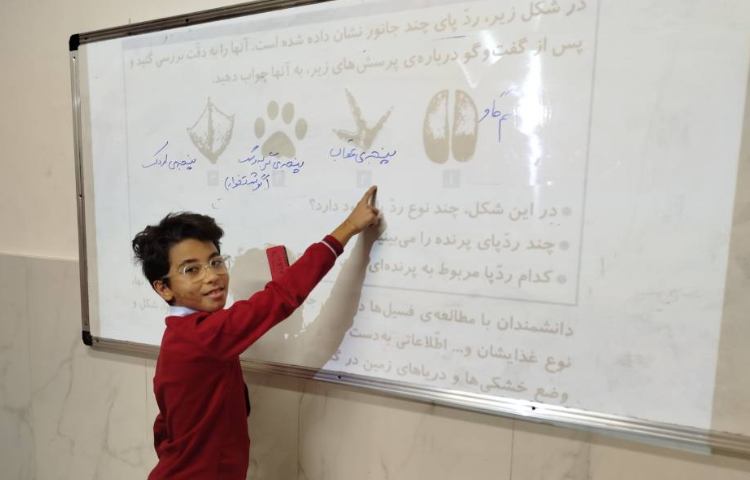 علوم - حل فعالیت‌ها در مورد فسیل 1