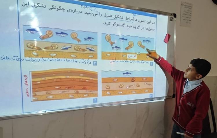 علوم - حل فعالیت‌ها در مورد فسیل 2