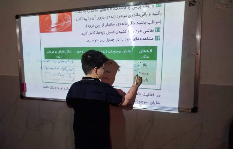 علوم - حل فعالیت‌ها در مورد فسیل 3