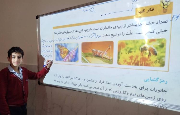 علوم - حل فعالیت‌ها در مورد فسیل