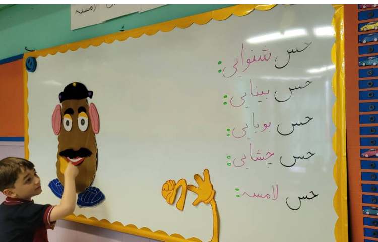 علوم حواس پنجگانه 1