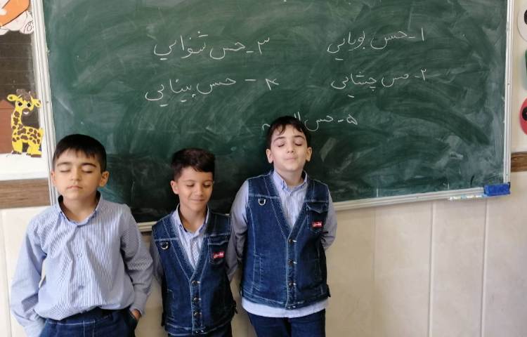 علوم حواس پنج گانه 2