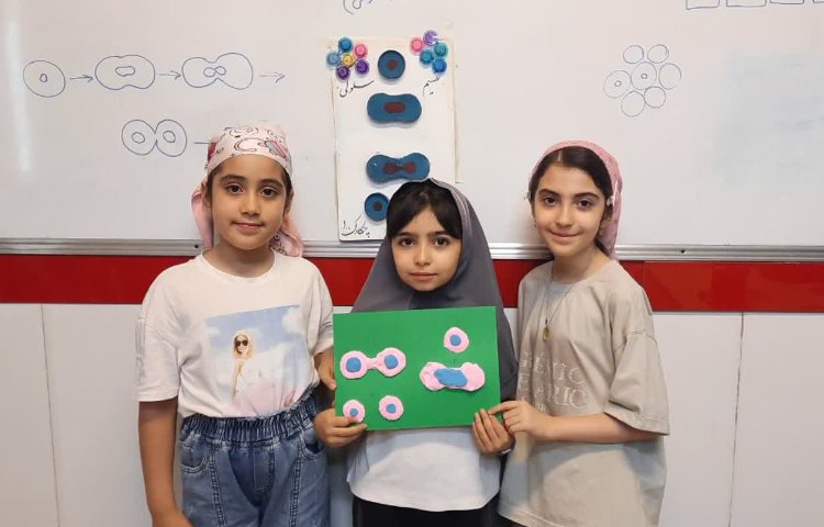 علوم ، دانشمند کوچک 2