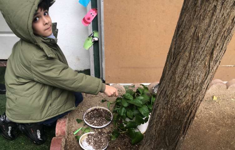 علوم: درست کردن کود با پوست میوه و کاشت گل 2