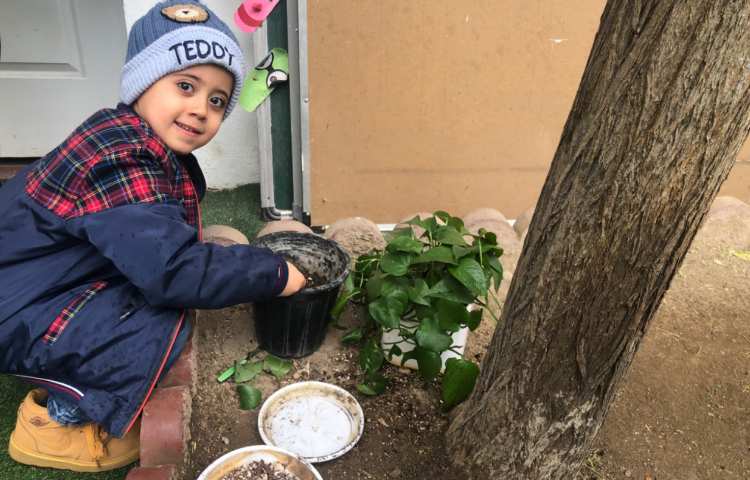 علوم: درست کردن کود با پوست میوه و کاشت گل 3