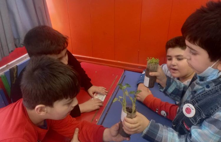 :علوم درس دوازدهم، پایه سوم 3