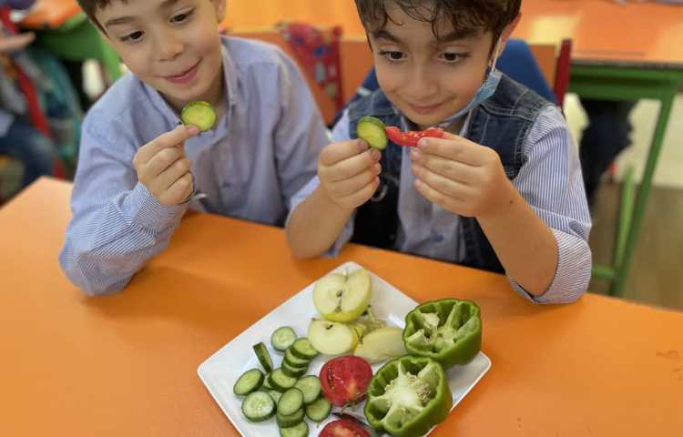 علوم درس مشاهده 2