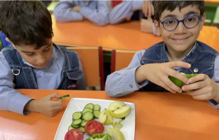 علوم درس مشاهده 6