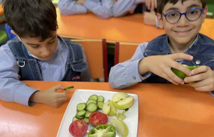 علوم درس مشاهده 7