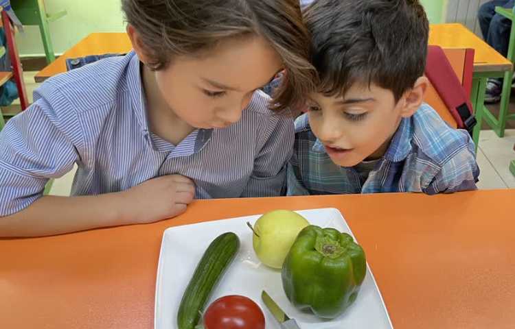 علوم درس مشاهده