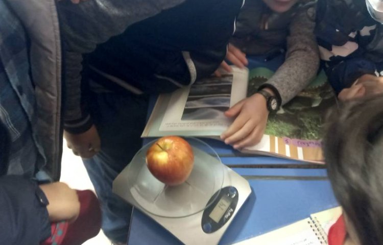 :علوم درس 4، پایه سوم 8