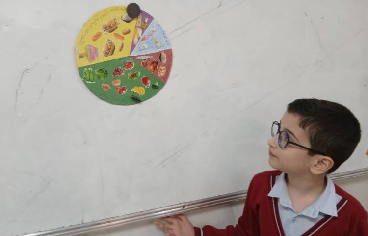 علوم _ دسته بندی مواد غذایی 1