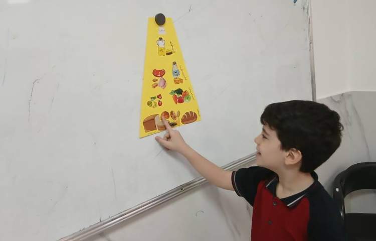 علوم _ دسته بندی مواد غذایی 2