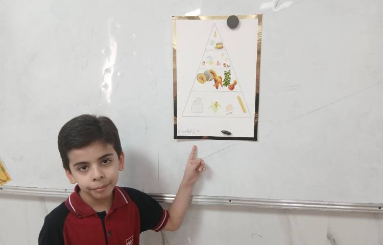 علوم _ دسته بندی مواد غذایی 3