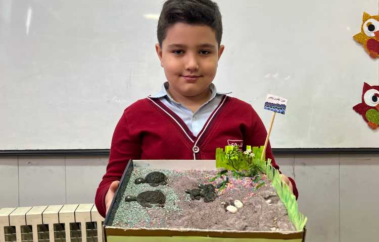 علوم، دست ورزی های درون آشیانه 2