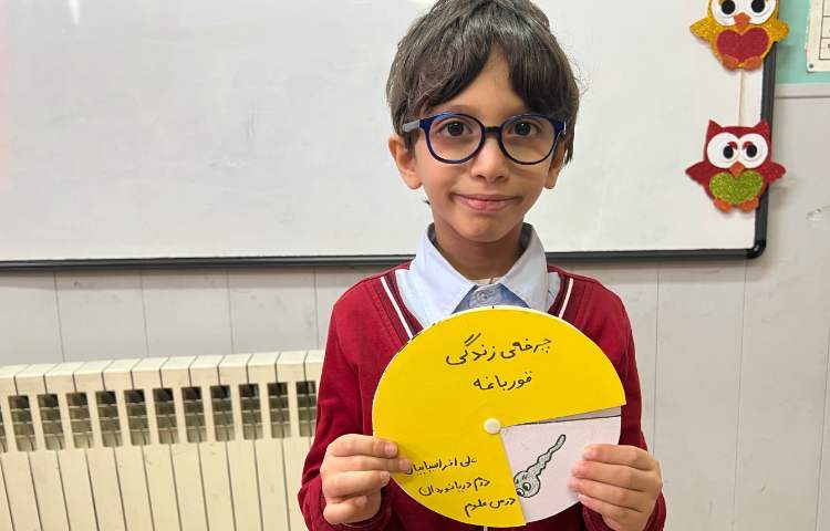 علوم، دست ورزی های درون آشیانه