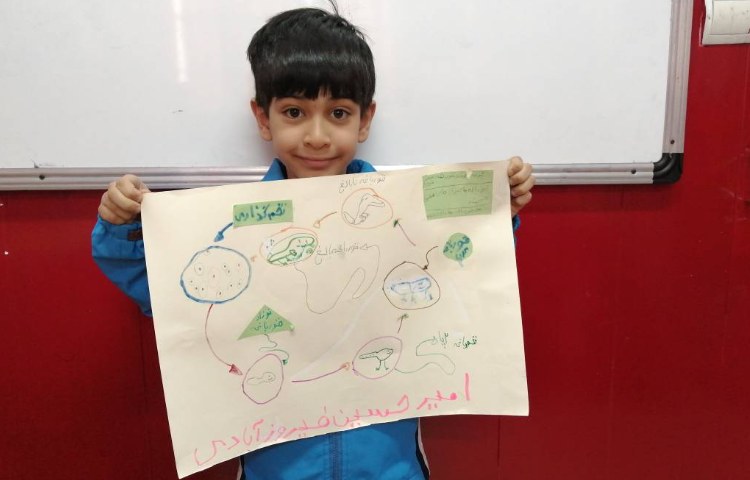 :علوم، روزنامه دیواری و دست ورزی چرخه رشد جانوران 3