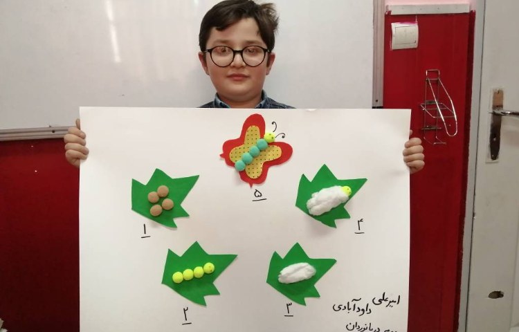 :علوم، روزنامه دیواری و دست ورزی چرخه رشد جانوران 4