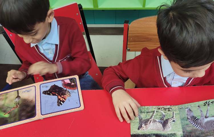 علوم روز حیوانات 1