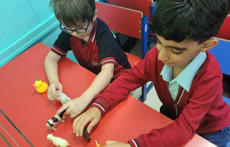 علوم روز حیوانات 3