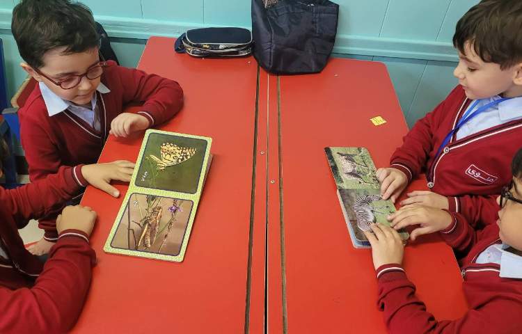 علوم روز حیوانات