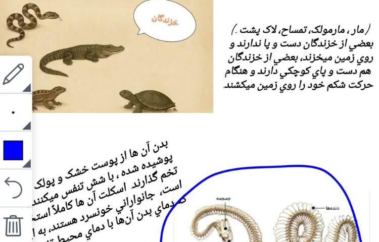 علوم، ریاضی 2