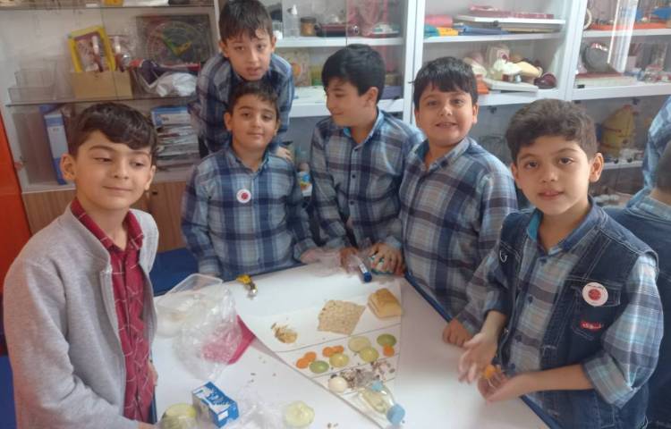 :علوم، ساخت هرم غذایی در گروه های چهارخانه، کلاس مریخ 1