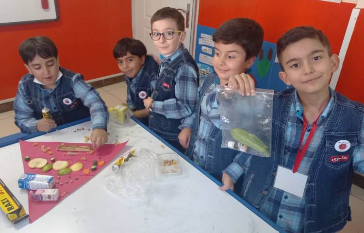 :علوم، ساخت هرم غذایی در گروه های چهارخانه، کلاس مریخ 5