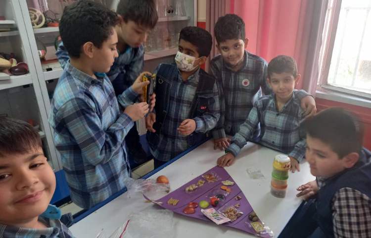 :علوم، ساخت هرم غذایی در گروه های چهارخانه، کلاس مریخ 6