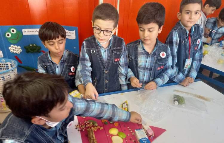 :علوم، ساخت هرم غذایی در گروه های چهارخانه، کلاس مریخ 7