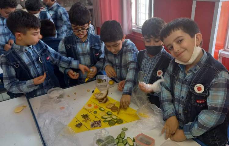 :علوم، ساخت هرم غذایی در گروه های چهارخانه، کلاس مریخ