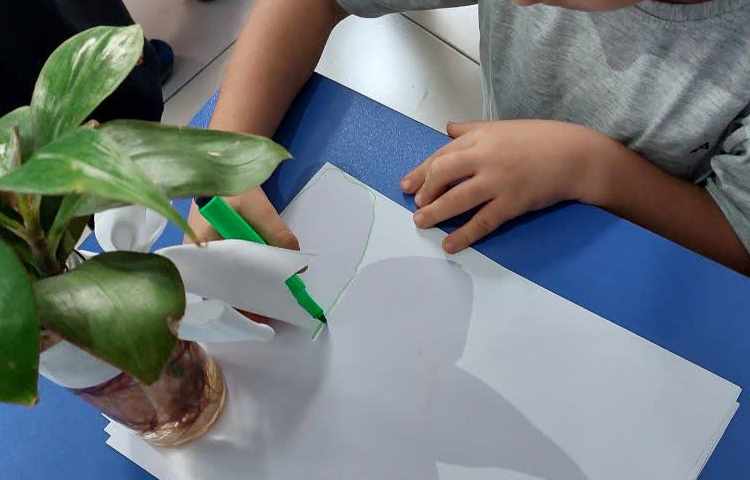 علوم سایه بازی 5