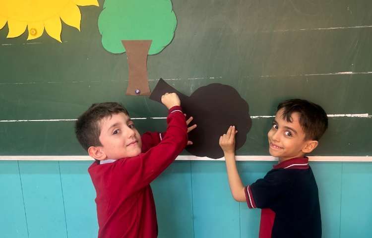 علوم ، سایه ها 3