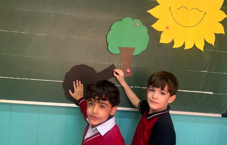 علوم ، سایه ها 5