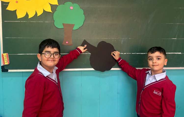 علوم ، سایه ها